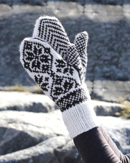 Beskrivning Damvantar