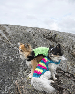 Beskrivning Hundtäcke