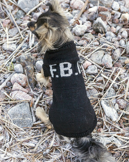 Beskrivning Hundtröjor