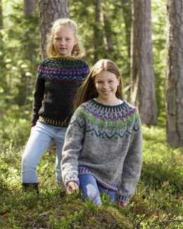 Beskrivning Oktröja