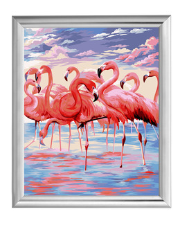 Paint by numbers Flamingos