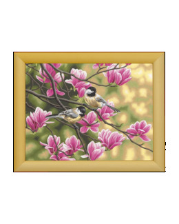 Paint by numbers Magnolia