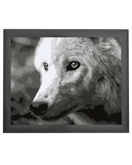 Paint By Numbers Varg