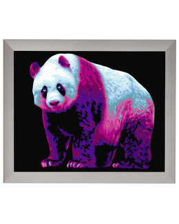 Paint by numbers Panda