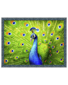 Diamond painting påfågel