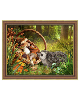 Diamond painting Igelkott