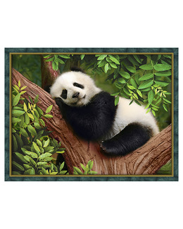 Diamond painting Panda