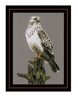 Broderikit Tavla Ståtlig falk