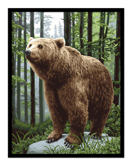 Paint By Numbers Brunbjörn