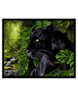 Paint By Numbers Panter