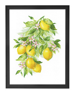 Broderikit Tavla Citroner