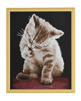 Broderikit Tavla Gullig Katt