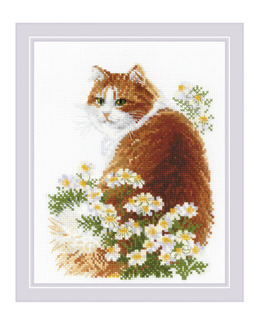 Broderikit Tavla Röda Katten