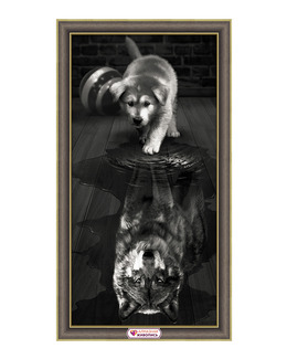 Diamond painting Reflektion