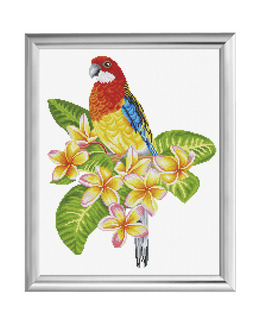 Broderikit Tavla Frangipanni Rosella