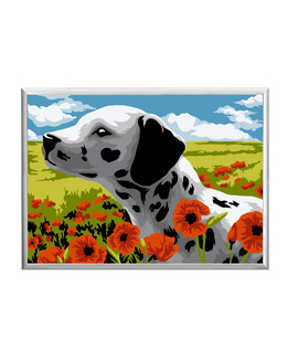 Paint By Numbers Dalmatian