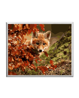 Paint By Numbers Sly Fox