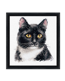Broderikit Tavla Svart Katt