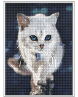 Diamond painting Katt