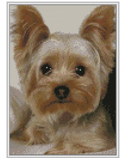 Diamond painting Vän
