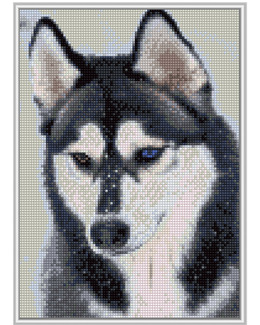 Diamond painting Husky