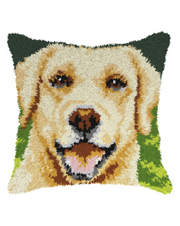 Ryakudde Golden retriever
