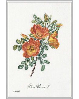 Broderikit Tavla Orange Blomster