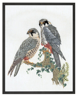 Broderikit Tavla Falcons