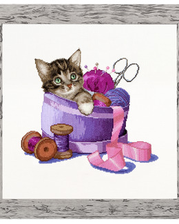 Broderikit Tavla Busig kattunge