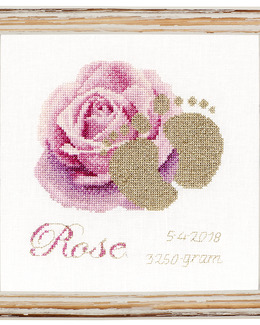 Broderikit Födelsetavla Rose