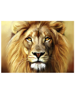 Diamond painting Lejon