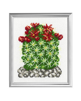 Broderikit Tavla Kaktus Röda blommor