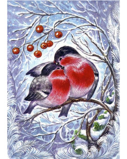 Diamond painting Fågelmys