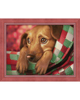 Diamond painting Hundvalp