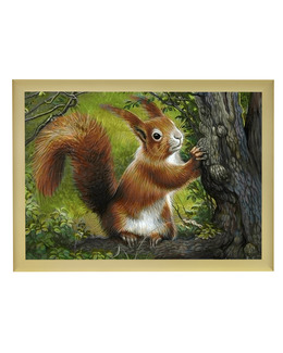 Diamond painting Ekorren