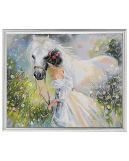 Diamond Dotz Drömlik