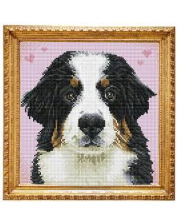 Diamond Dotz Bästa vän