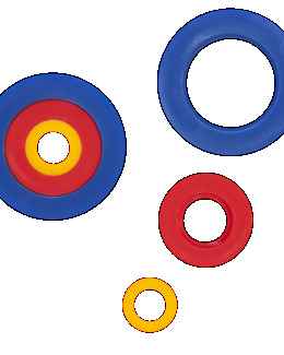 PomPom