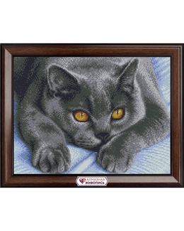 Diamond painting Katt