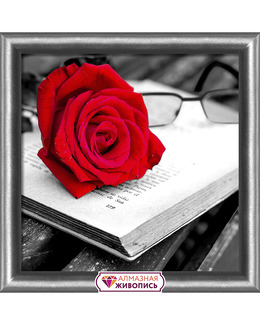 Diamond painting Ros