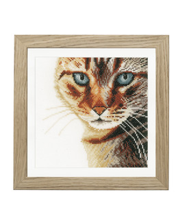 Broderikit Tavla Katt