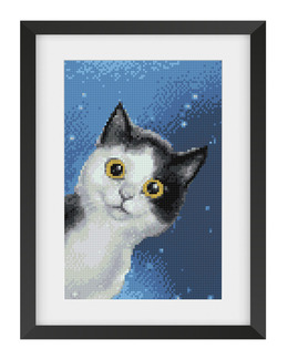 Diamond painting Nyfiken