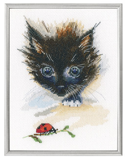 Broderikit Tavla Nyfiken katt