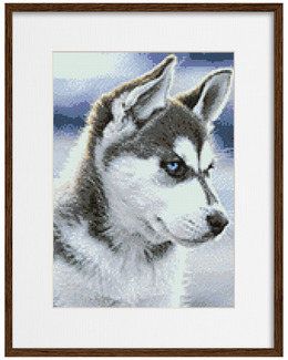 Diamond painting Snöhund