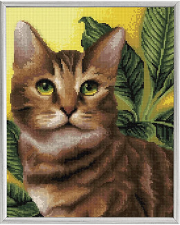 Diamond Painting Katt