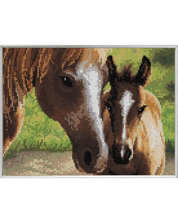 Diamond Painting Hästar