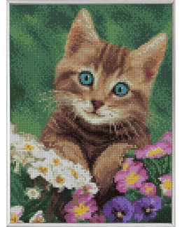 Diamond Painting Kattunge