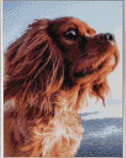 Diamond Painting Hund Strikking, pynt, garn og strikkeoppskrifter