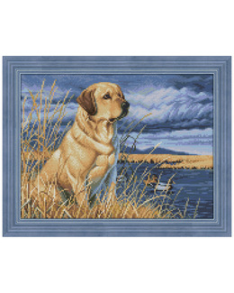 Diamond painting Labrador