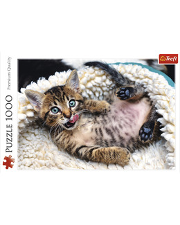 Pussel Katten 1000 Bitar